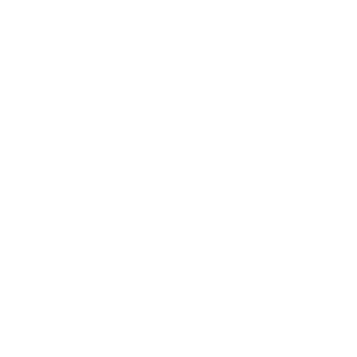 S E Fleming CPA